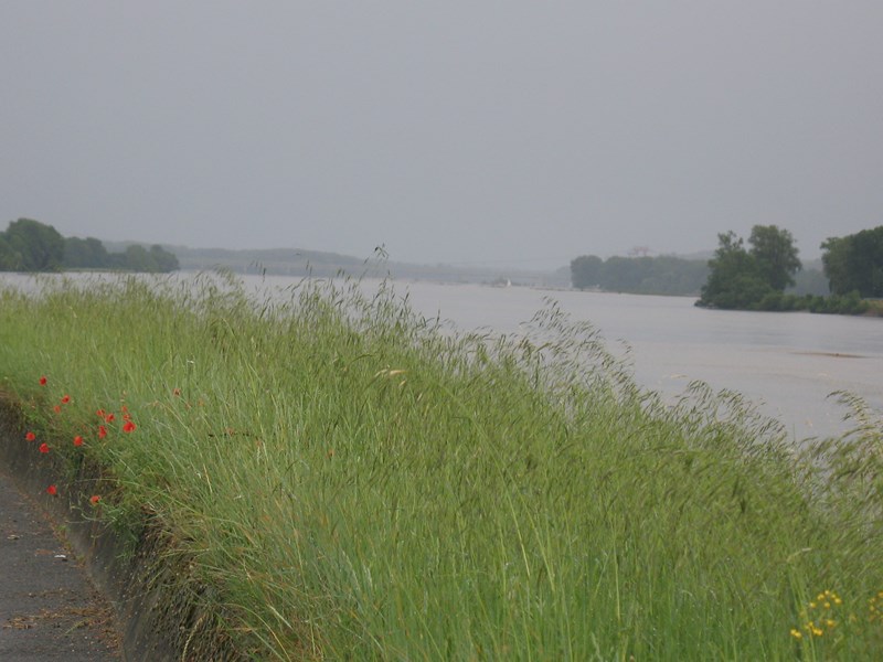 IMG_0509 (Copier).JPG