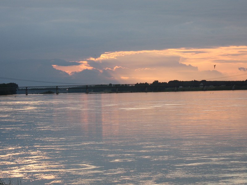 IMG_0256 (Copier).JPG