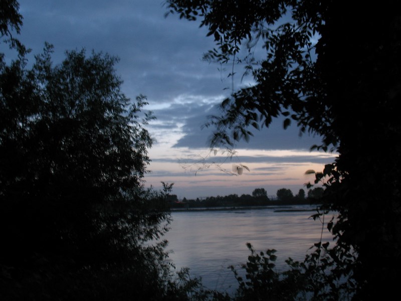 IMG_0539 (Copier).JPG