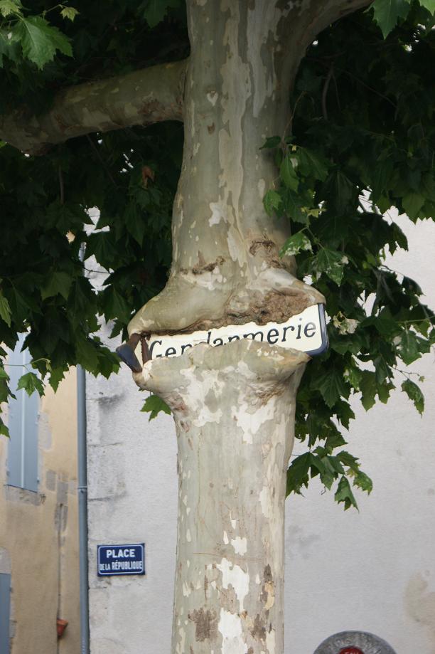 emprisonnée!!