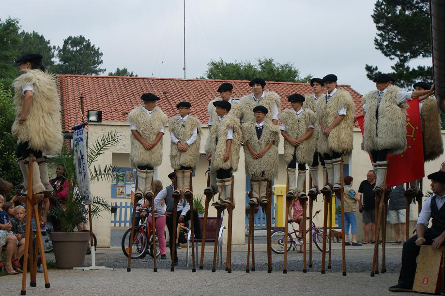 les échassiers