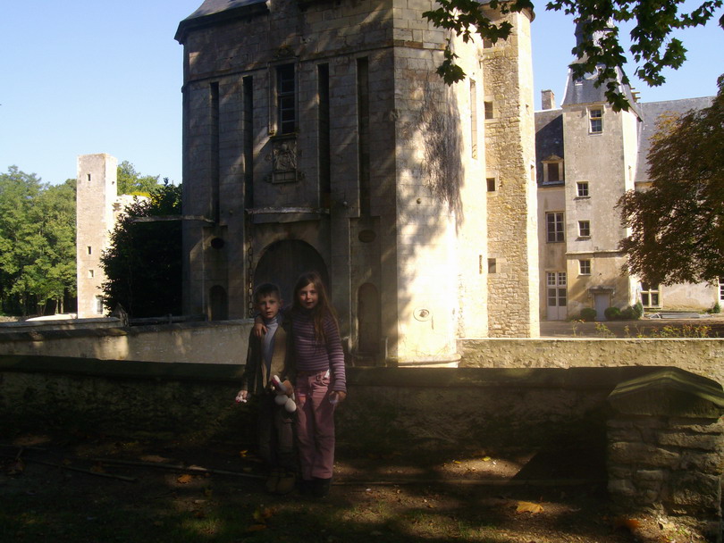 ils ne se tapent pas dessus, mais ils marchent sur les rosiers......jpg