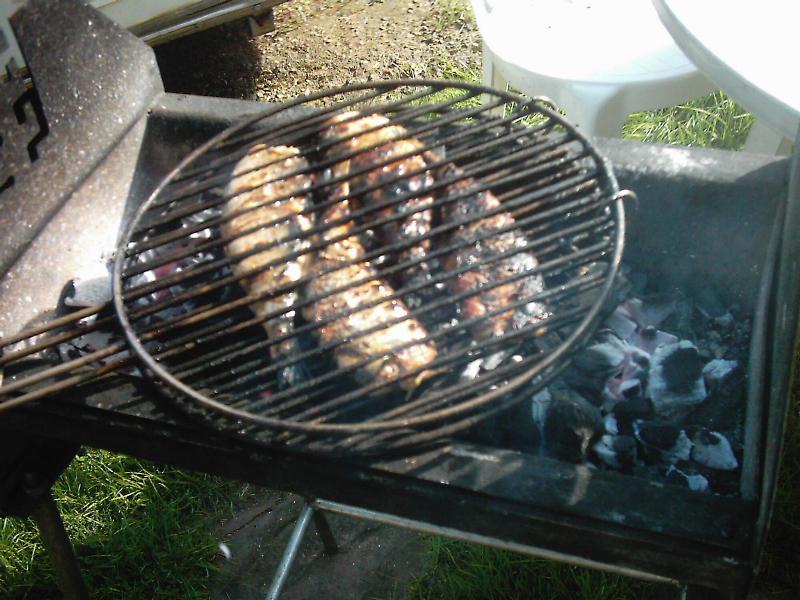 Harengs 3.JPG