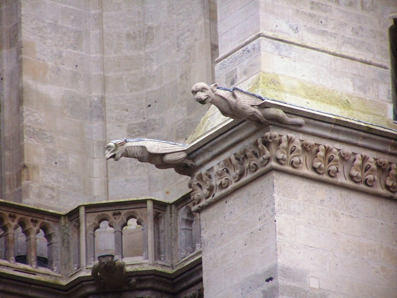 100_4223.JPG