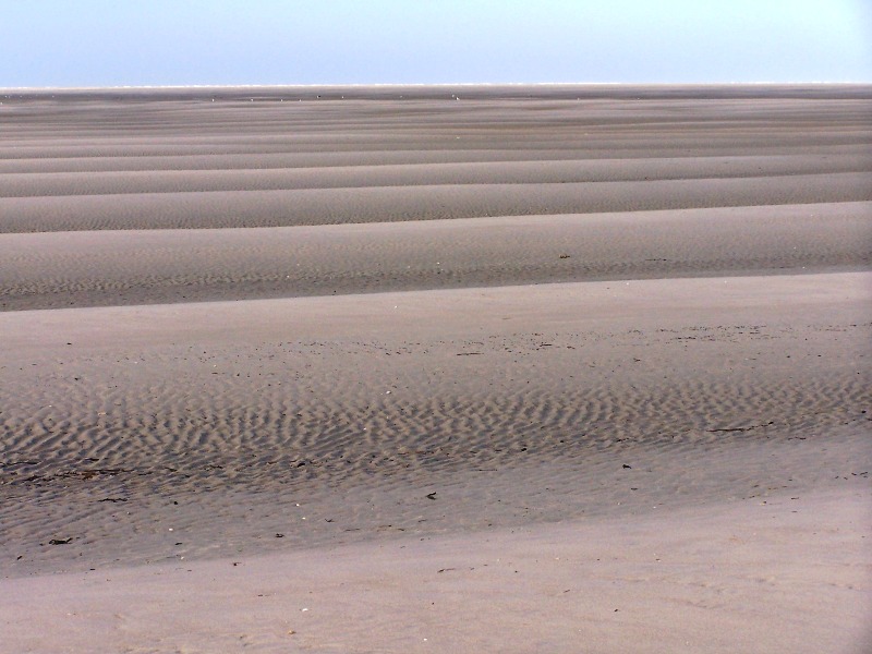 100_4272.JPG