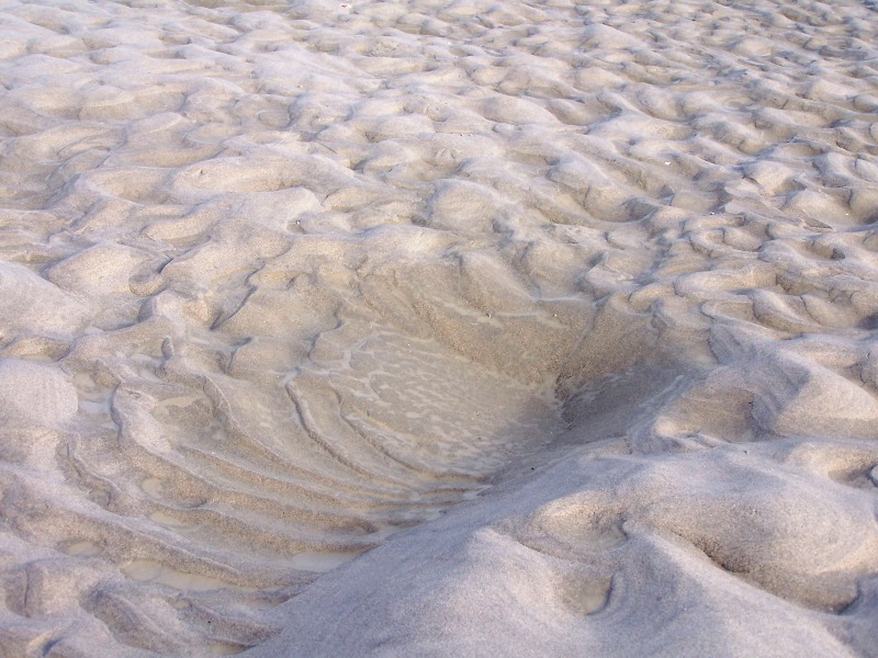 100_4278.JPG