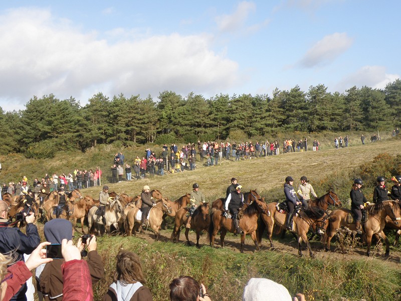 PA270077.JPG