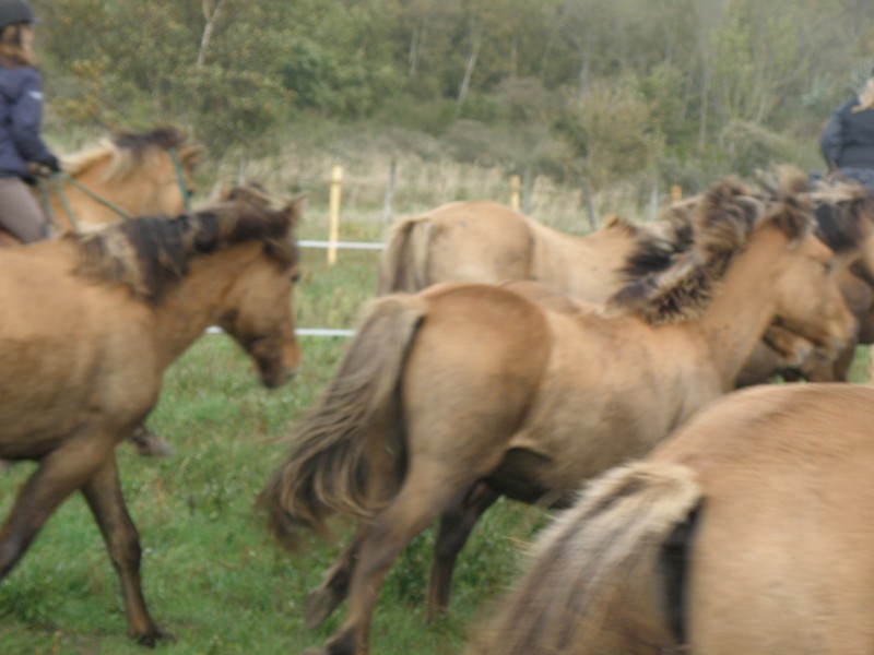 PA270096.JPG