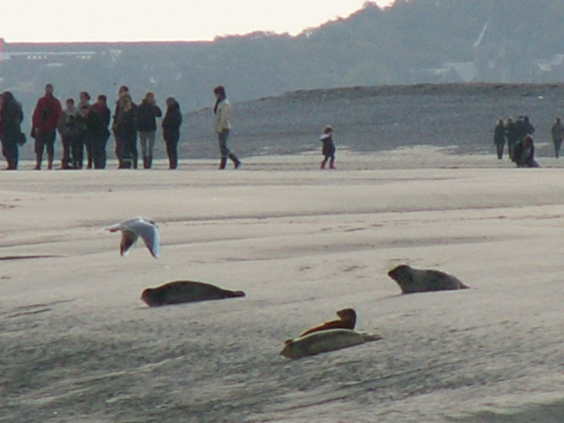 PICT0018.JPG