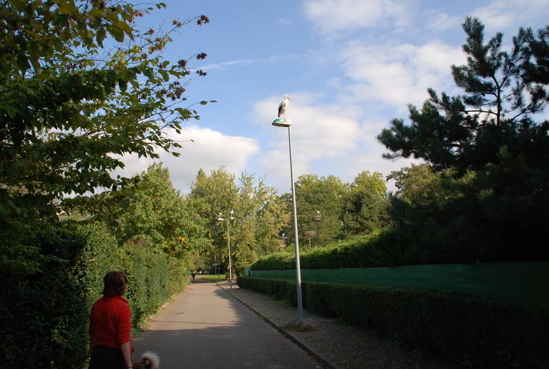 DSC_2893.JPG