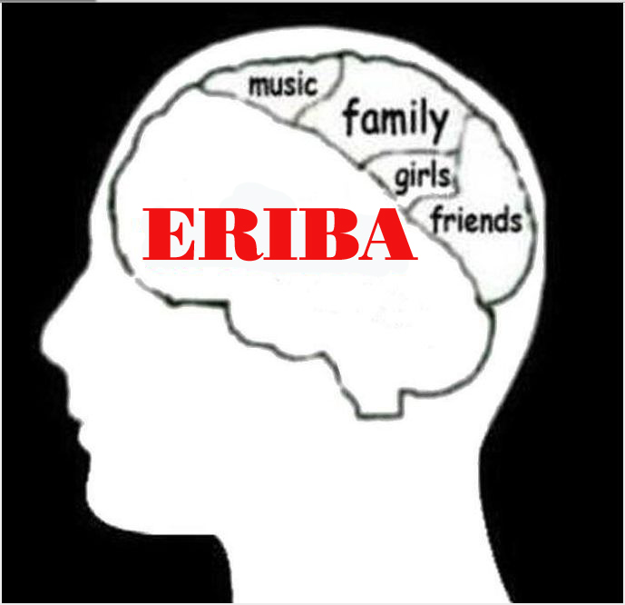 cerveau 01.jpg