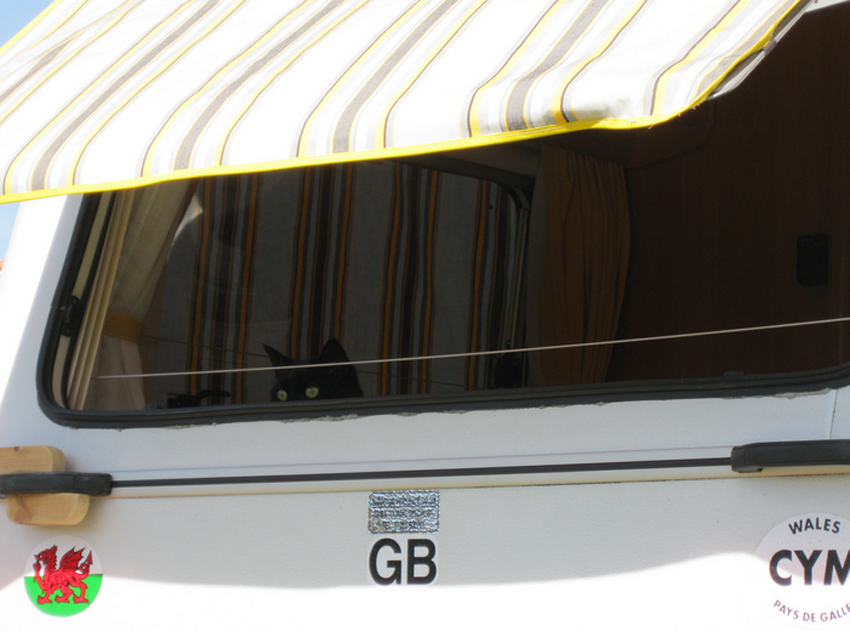 There's a big world out there.jpg