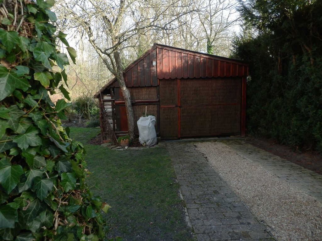 P2010060.JPG