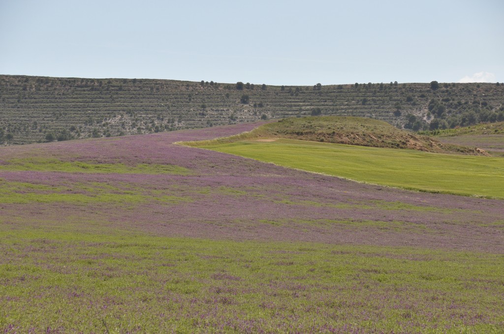 Vers Penafiel_01.JPG