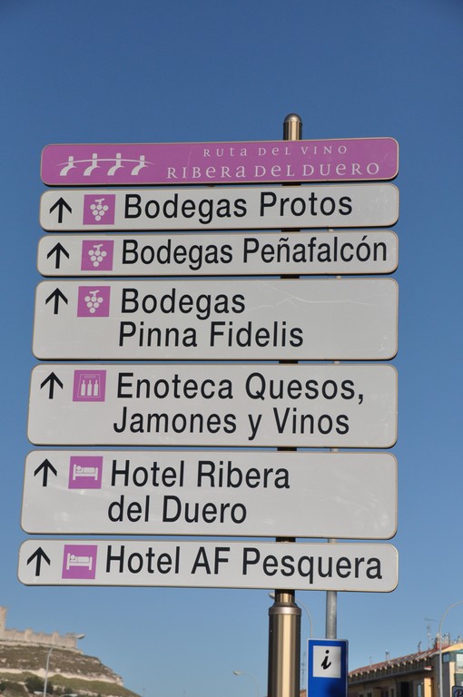 Où trouver une Bodega.JPG