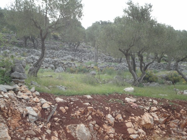 route vers zadar