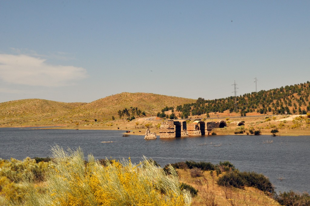Le meilleur jambon d'Estramadure qu'il dit, le monsieur ; impossible à vérifier, il faudrait les goûter tous