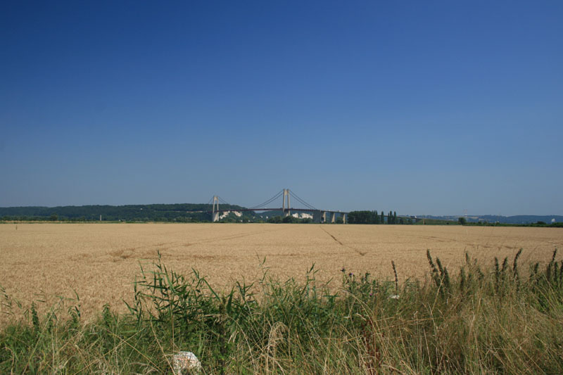 5571.jpg