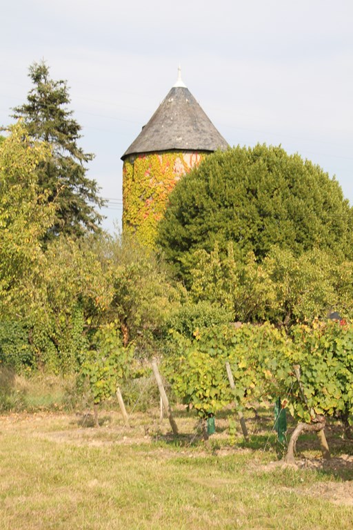 loireàvélo2014 081 (Copier).JPG