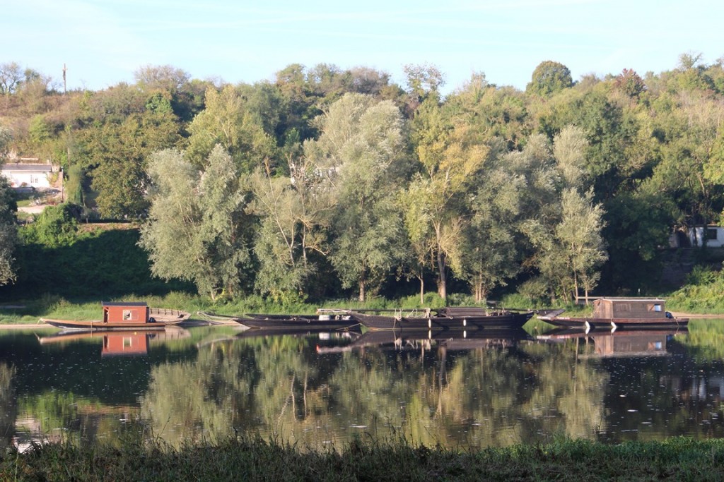 loireàvélo2014 241 (Copier).JPG