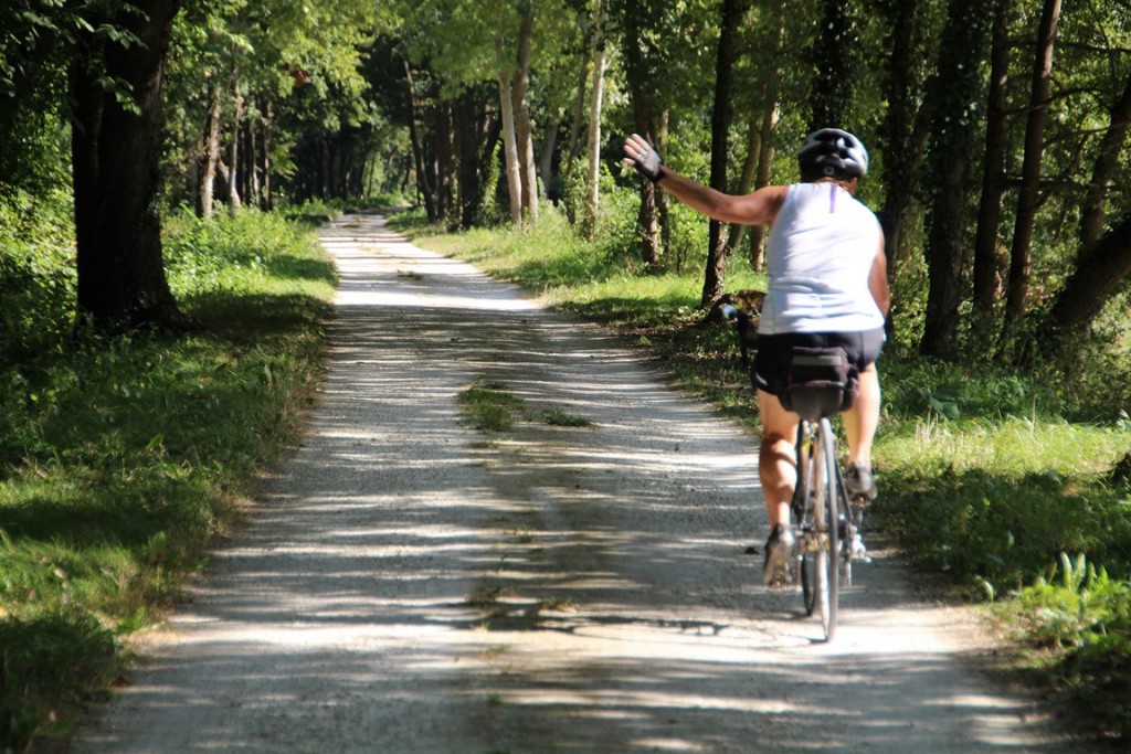 loireàvélo2014 260 (Copier).JPG