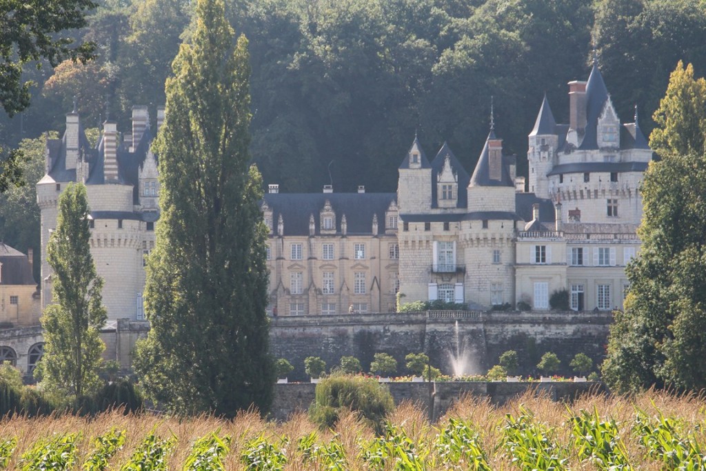 loireàvélo2014 262 (Copier).JPG