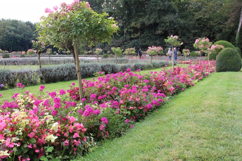 loireàvélo2014 445 (Copier).JPG