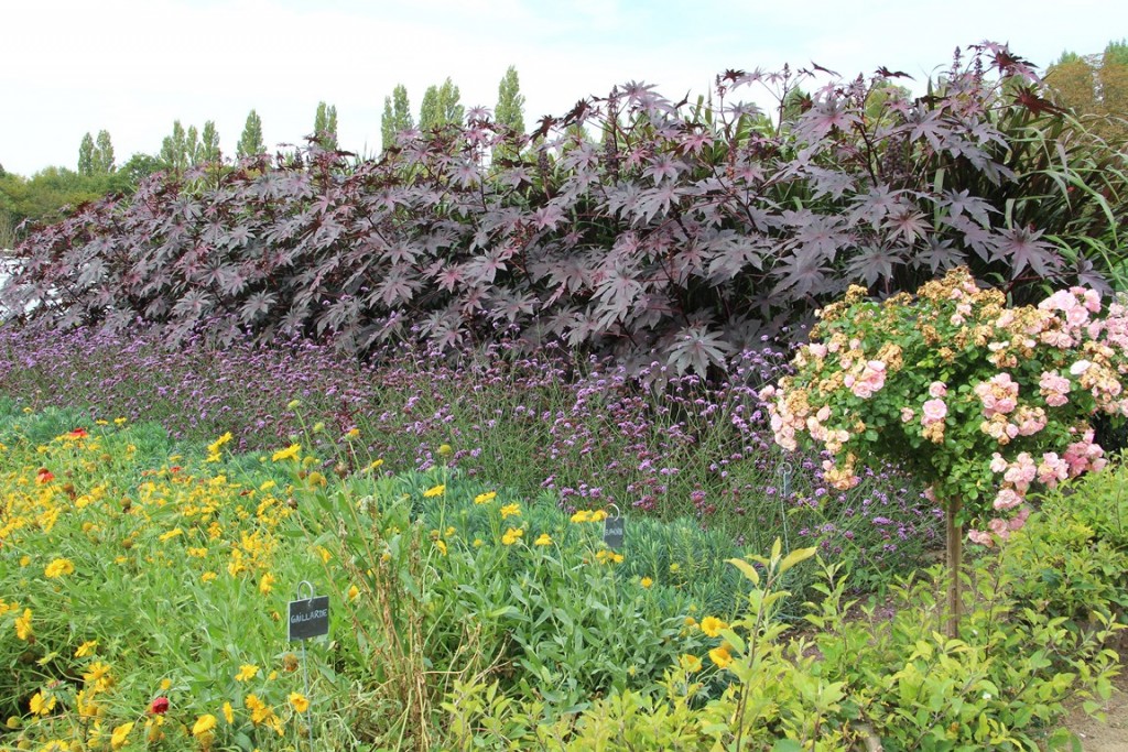 loireàvélo2014 471 (Copier).JPG