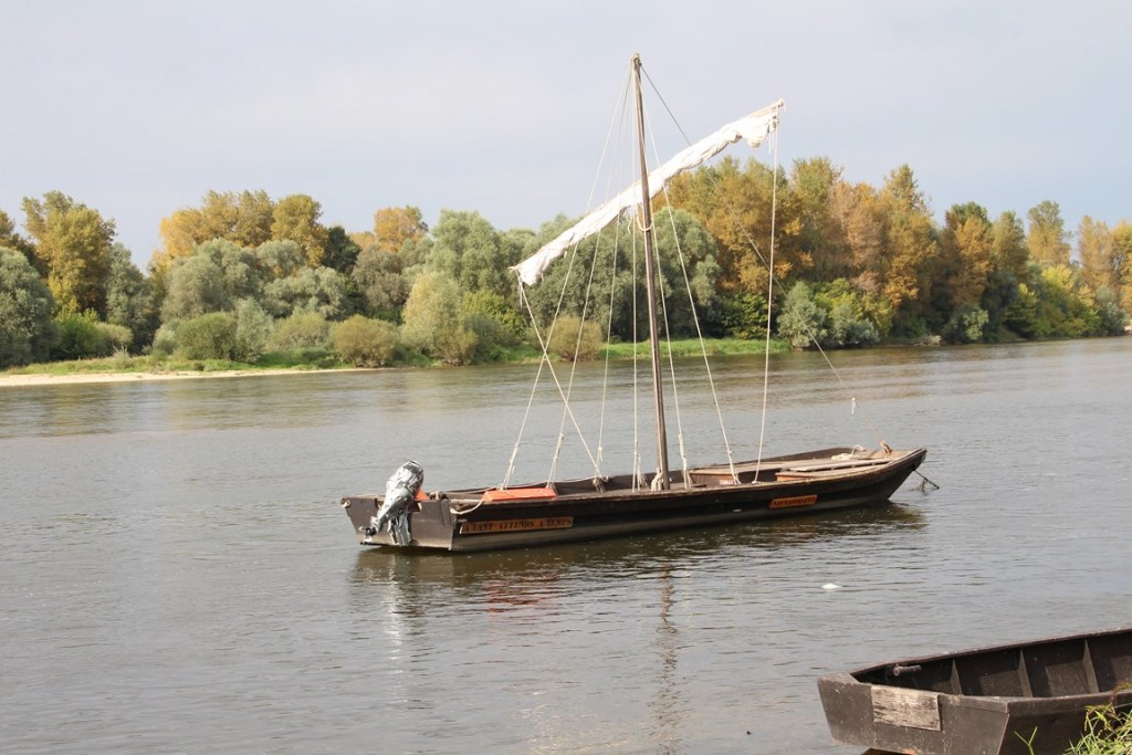 loireàvélo2014 487 (Copier).JPG