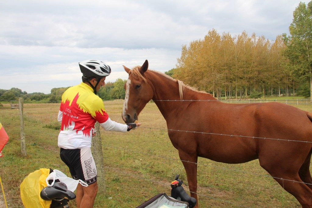 loireàvélo2014 491 (Copier).JPG