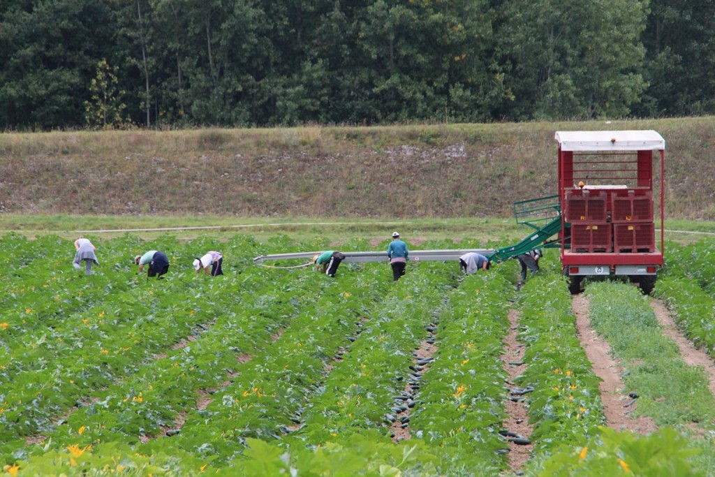 loireàvélo2014 515 (Copier).JPG