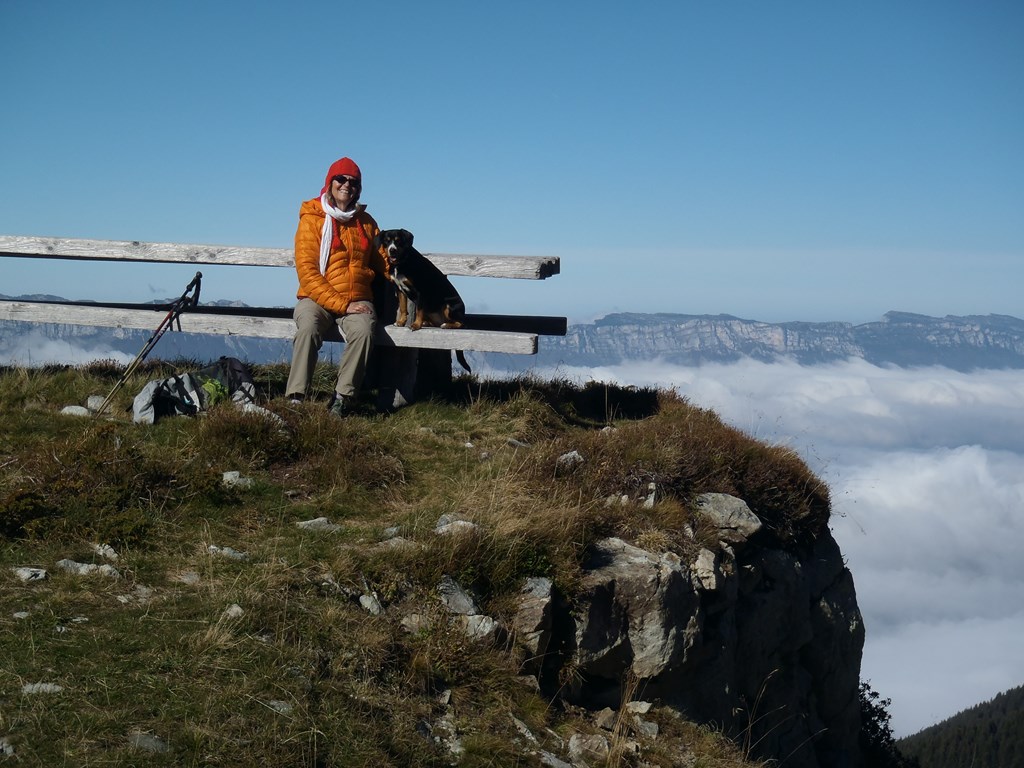 2014-10-26 12.11.00 [1024x768].jpg