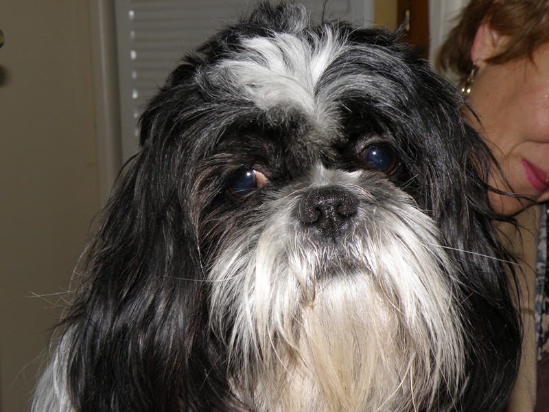 La Carabane, elle aime bien