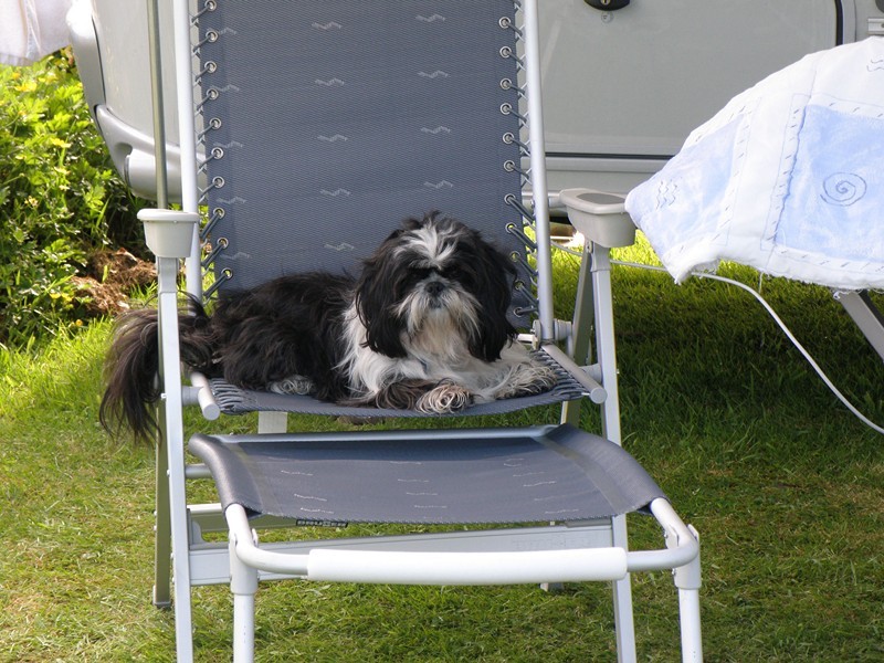 Guimauve en 2013, au golf du Morbihan