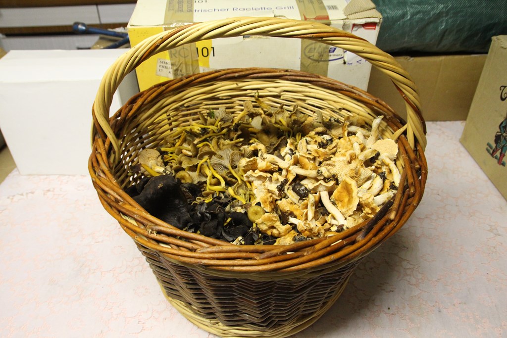 divers 651 (Copier).JPG