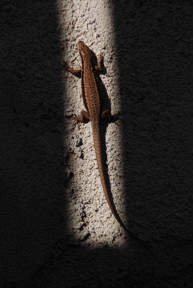 DSC_5743.JPG
