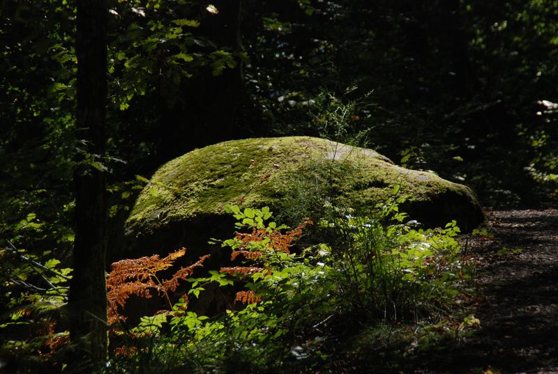 DSC_5791.JPG