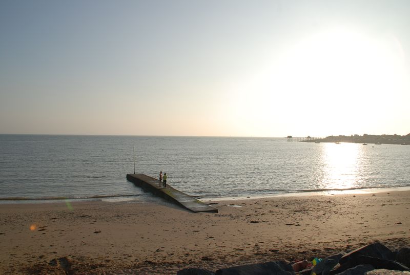 DSC_6016.JPG