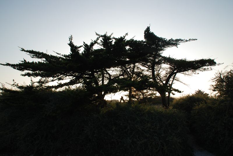 DSC_6029.JPG