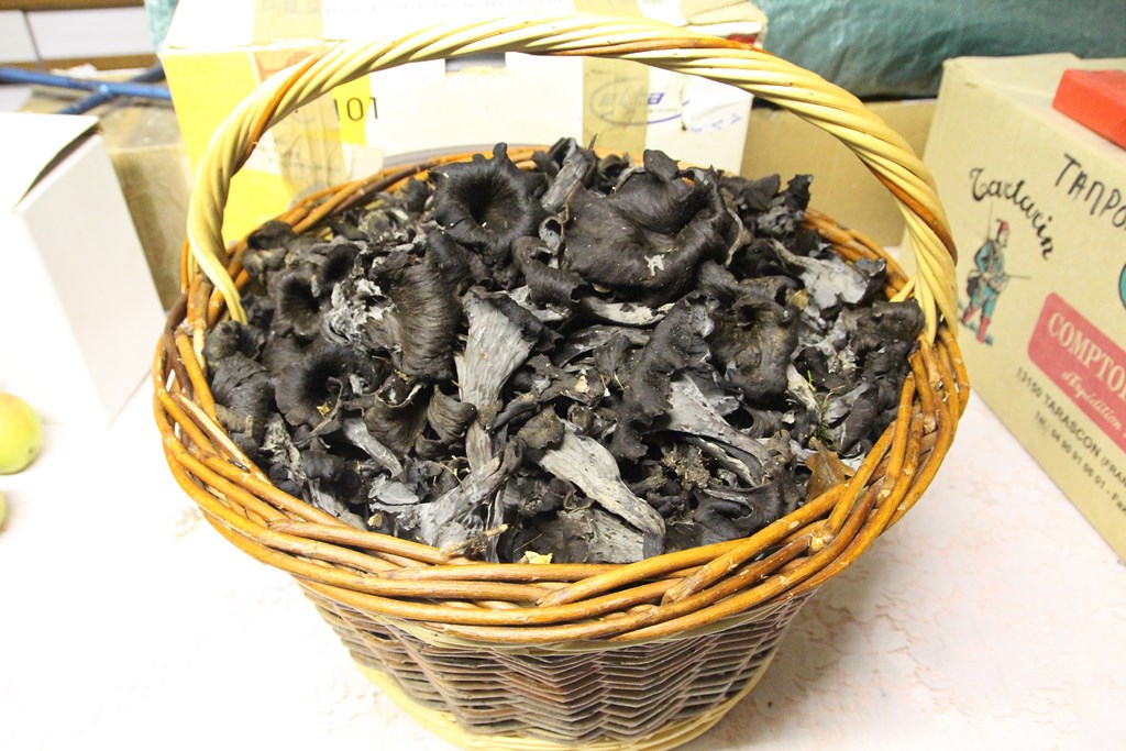 divers 653 (Copier).JPG