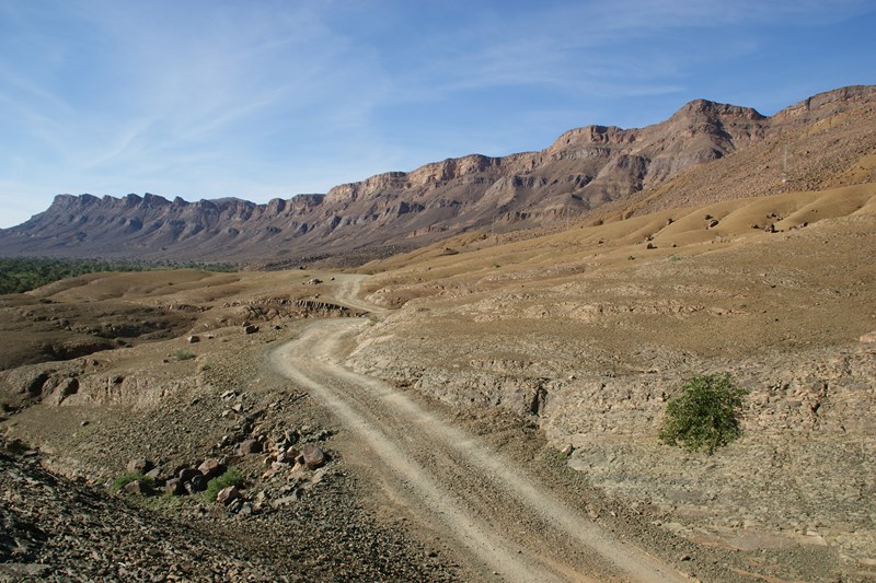 DSC01019 (Copier).JPG