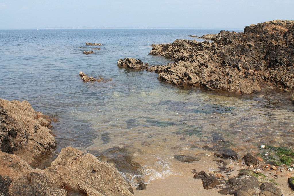 Proche de Quimiac...a Mesquer