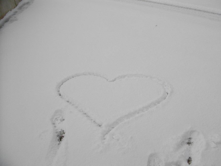 IMGP3868 (Copier).JPG