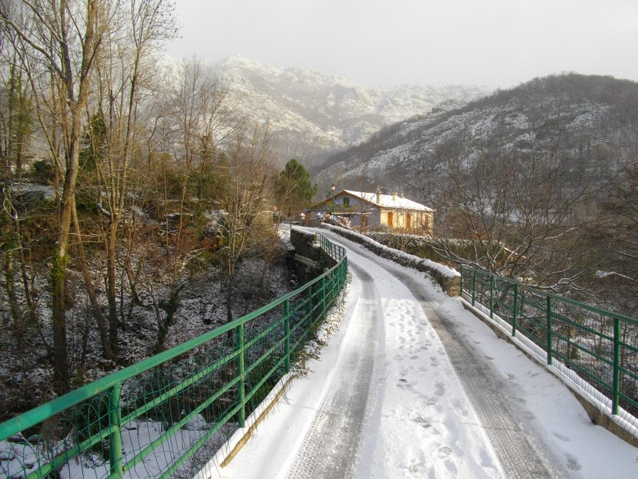 IMGP3874 (Copier).JPG