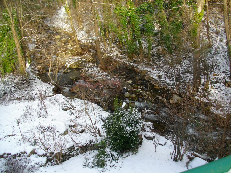 IMGP3877 (Copier).JPG