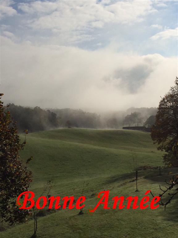 Lever de Brouillard Soleil en Chataigneraie Cantalienne (prise de vue de  mon bolet.JPG