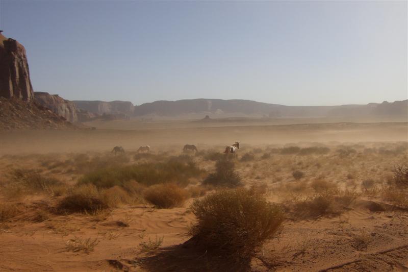 CIMG4199 (Medium).JPG