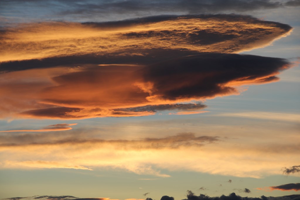 IMG_1944 (Copier).JPG