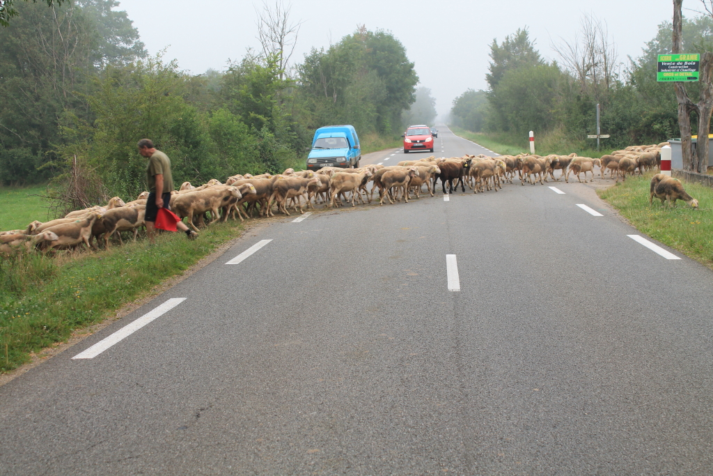 IMG_3861Causse de Limogne (12).JPG