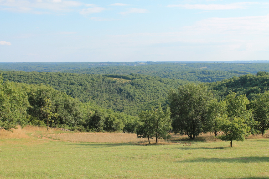 IMG_4017 le Quercy(46).JPG